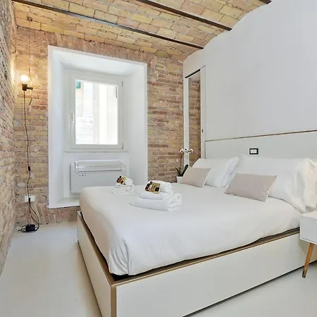 Ych-charming Flat Near Colosseum Apartment *